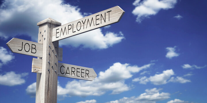 Job, Employment, Career - Wooden Signpost with Three Arrows - 3D illustration