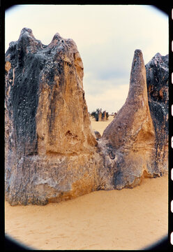 Rock Formations in a Desert Landscape, The Pinnacles WA