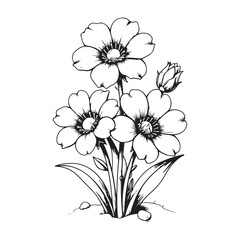 Obraz premium Beautiful Three Flowers Branch Line Art Illustration for Design