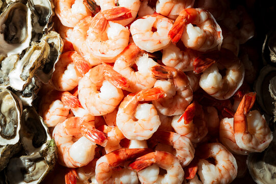Closeup of cooked shrimp with oysters on ice