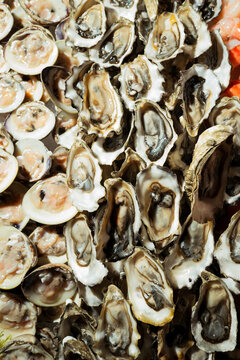 Closeup of fresh oysters and clams on ice