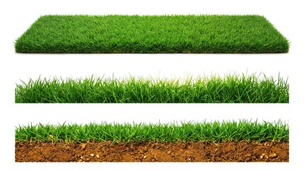 Obraz premium Three different views of green grass sections on a white background lawn turf