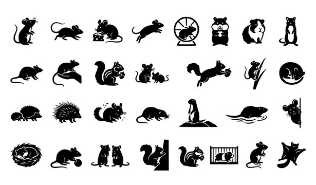 Cute Mouse Black Glyph Icons Vector Set Rodent Animal Collection