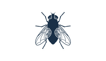 Black fly insect illustration © MOHAMMAD ALI