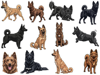 Fototapeta premium Mudi dog 12 profile poses bundle vector illustration