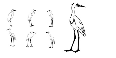 Obraz premium Egret Standing Outline Icon
