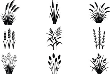 Wild grass and reeds silhouette icon set featuring cattails wheat stalks swamp vegetation and marsh tuft plant elements vector © MSTSULTANA