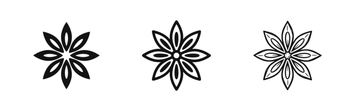 Star anise spice and floral pattern icons set for natural design