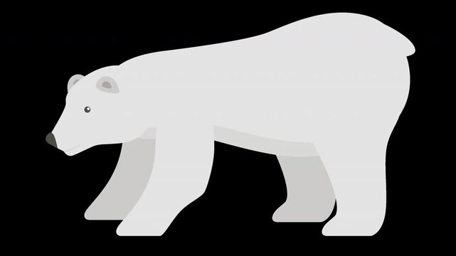 Cute Polar Bear Illustration