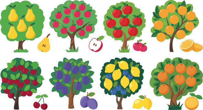Various fruit trees with colorful fruits and leaves are depicted.