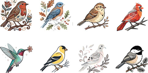 Hand Drawn Songbird Vector Set Featuring Robin Bluebird Sparrow Cardinal Hummingbird Goldfinch Dove and Chickadee © Sarjina