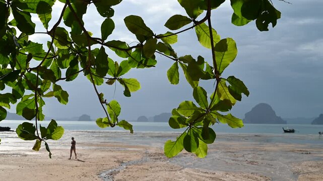 Woman walking below leaves on Tubkaek Beach