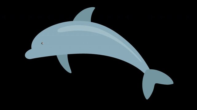 Cute Dolphin Illustration