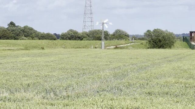 Green wheat crop and distant windmill detail