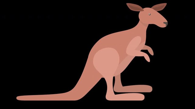 Cute Kangaroo Illustration