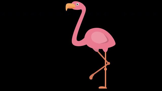 Cute Pink Flamingo Illustration