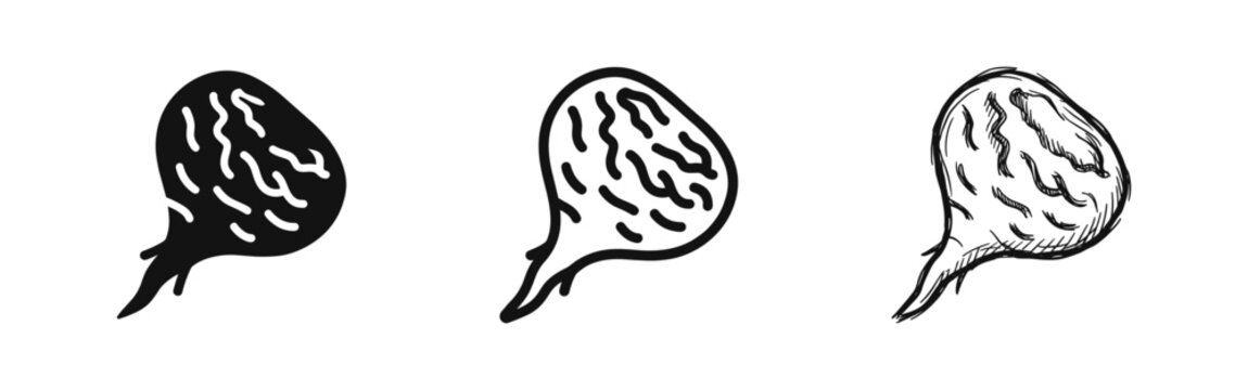 Human gallbladder icon set in solid, outline, and hand-drawn styles.