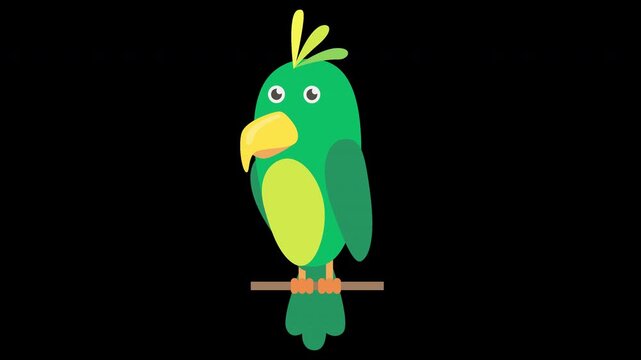 Cute Parrot Illustration