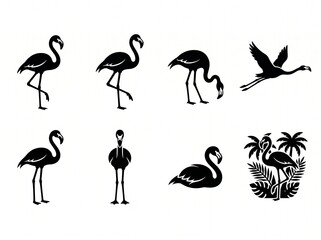 Collection of black flamingo silhouettes in diverse natural poses with flamingo © MDfardous