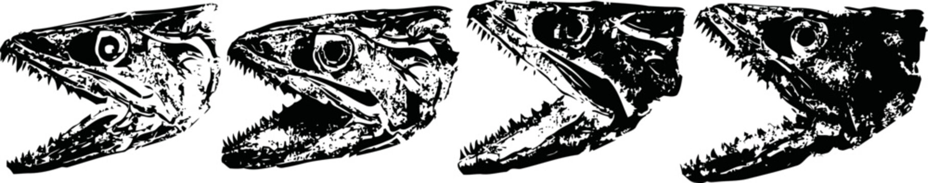 Sequential fish head illustration showing stages of mouth opening in black and white detail