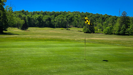 Fototapeta premium Golf course green with checkered flag and forest background