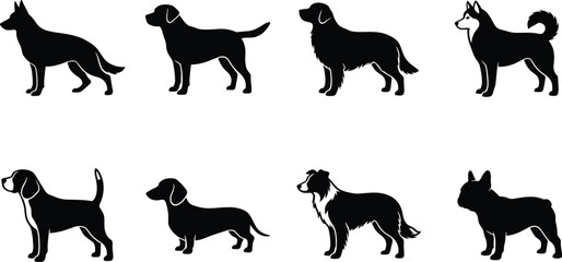 Dog breed silhouette collection featuring shepherd, retriever, husky, beagle, dachshund and companion canine illustrations set © Sanda