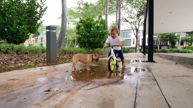 Young boy on runbike ventures through puddle in slow motion, creating small splashes. His tiny French Bulldog puppy stands nearby, curiously watching watery antics. Playful scene unfolds in park alley