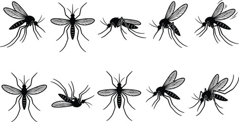 Mosquito silhouettes collection, flying insect vector, pest control biology illustration, black insect poses, disease carrier entomology design artwork © MOSTSHAHANAJ