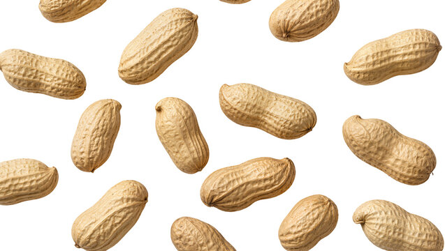 Isolated many peanuts in shell scattered naturally, raw whole groundnuts, nutritious snack ingredient