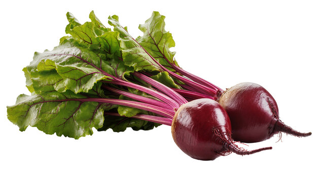 Isolated fresh whole beetroots with vibrant green leaves and red stems, healthy organic vegetables