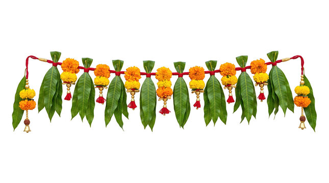 Indian toran with marigold and mango leaves on transparent background