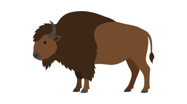 American bison buffalo standing flat vector illustration.