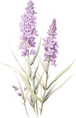 Fototapeta premium Lavender flowers, purple lilacs, floral bouquet, watercolor blooms