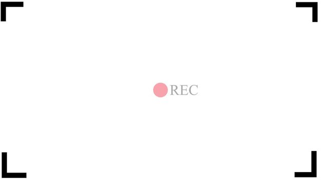 Live streaming sign icon animation, online camera recording overlay animation, Red live streaming symbol, live streaming, broadcasting, online stream Alpha .4k video