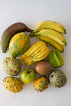 Variety of exotic fruits like cherimoya, dragon fruit, budda's hand, star fruit, papaya, bananas growing on tropical Canary islands, Spain