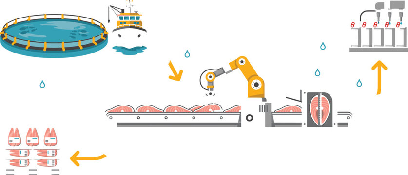 Automated Salmon Fish Processing Factory Production Line Infographic Vector Set Showing Offshore Aquaculture Cage Harvesting Robotic Cutting Slicing and Sealed Packaging
