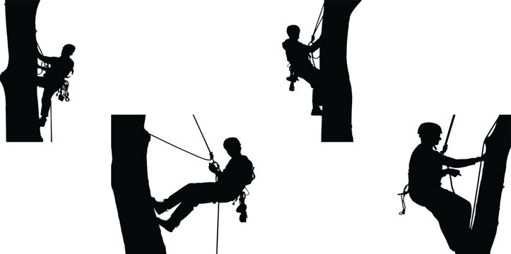Arborist tree climbers silhouettes set, lumberjacks using ropes and safety equipment, forestry workers cutting branches, industrial care maintenance concept.