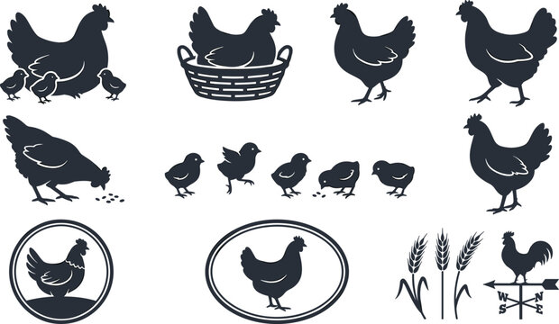 Chicken hen silhouette vector icon set featuring brooding birds chicks farm emblems and weather vane isolated on white.