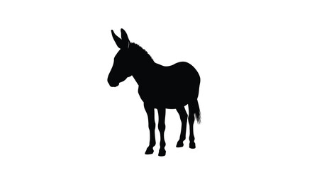 Fototapeta premium Donkey silhouette against a white background asinine