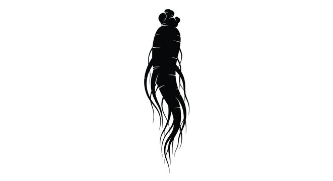 Ginseng root silhouette against a white background silhouette