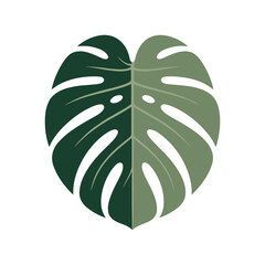 Monstera deliciosa leaf illustration, splitleaf philodendron tropical plant icon © MdBillal