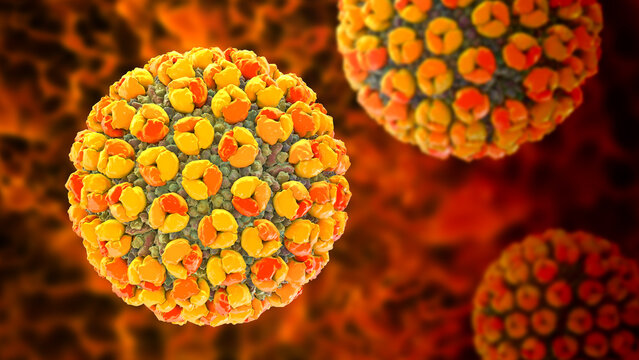 Banna virus particle, 3D illustration showing icosahedral double-stranded RNA arbovirus with segmented genome, associated with mosquito-borne febrile illness.