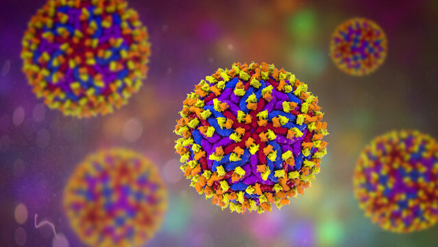 Dengue virus bound with neutralizing human antibodies, 3D illustration showing flavivirus particles coated by immunoglobulins, illustrating antiviral immune response.