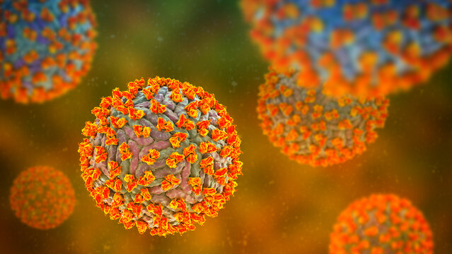 Dengue virus bound with neutralizing human antibodies, 3D illustration showing flavivirus particles coated by immunoglobulins, illustrating antiviral immune response.