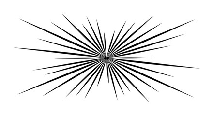 Fototapeta premium Black starburst graphic design element.
