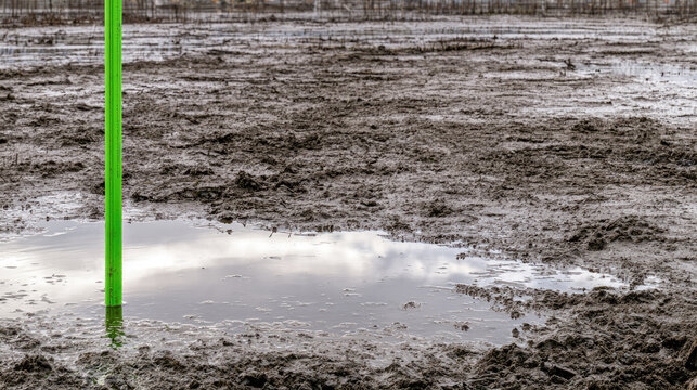 Coastal wetland restoration mud flat sediment stake wet mud overcast sky reflection low angle shot silt wetland ecosystem restoration coastal plain marsh coastal wetland restoration site with
