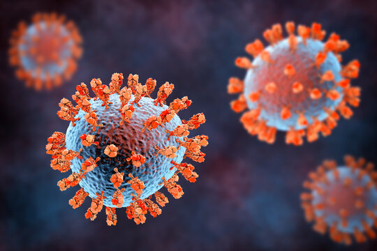 Junin virus particle, 3D illustration showing enveloped arenavirus with granular ribonucleoprotein structure, causative agent of Argentine hemorrhagic fever.
