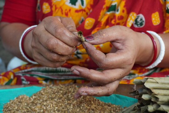Hands Rolling Traditional Leaf Cigarettes on Dried Tobacco