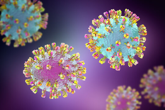 Junin virus particle, 3D illustration showing enveloped arenavirus with granular ribonucleoprotein structure, causative agent of Argentine hemorrhagic fever.