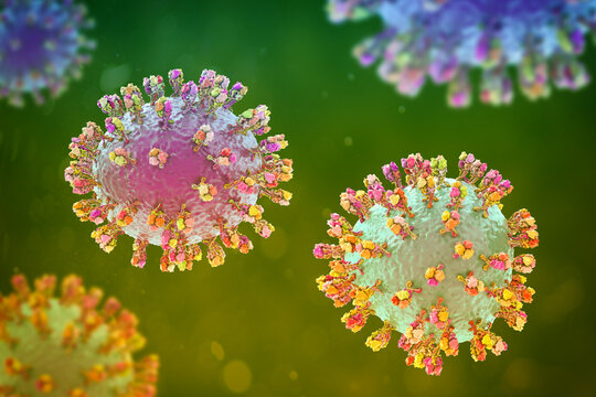 Junin virus particle, 3D illustration showing enveloped arenavirus with granular ribonucleoprotein structure, causative agent of Argentine hemorrhagic fever.